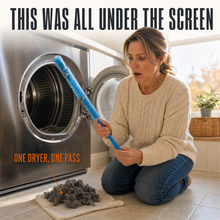 A lint covered brush and the pile it pulled out of one dryer, labelled one dryer, one pass